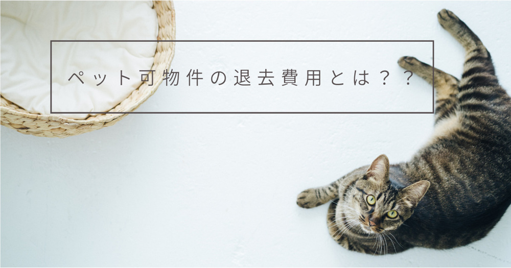【2025年】ペット飼育可能な賃貸物件の退去費用について徹底解説！の画像