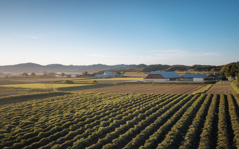 農地の売却を考えていますか？基本知識とステップを解説の画像