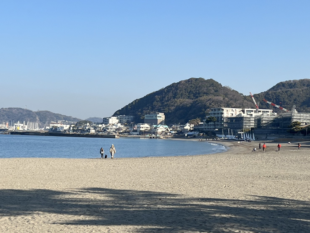 今朝の森戸海岸の画像