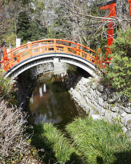 下鴨神社に行ってきました！の画像