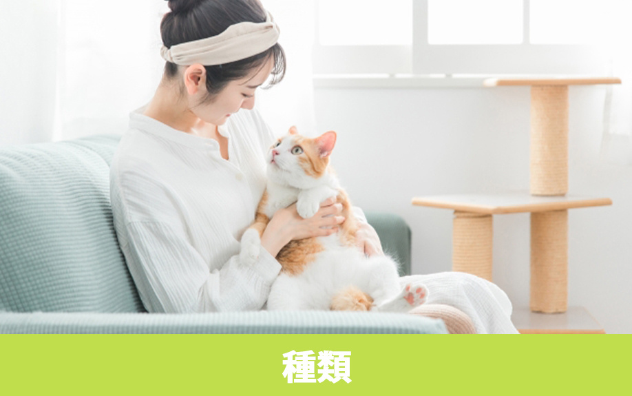 選び方とともに知っておきたい！ペット可賃貸物件の種類とは？