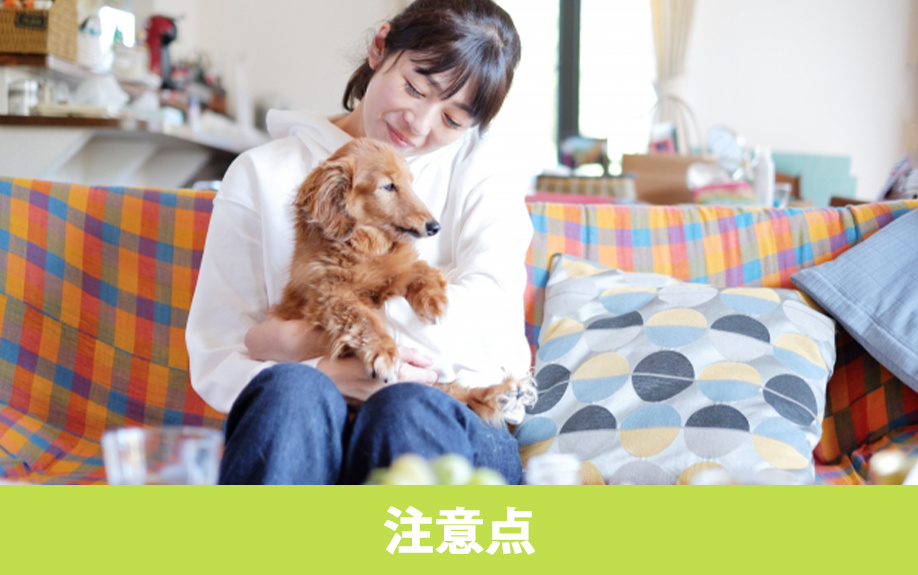 ペット可賃貸物件の選び方とともに知っておきたい注意点