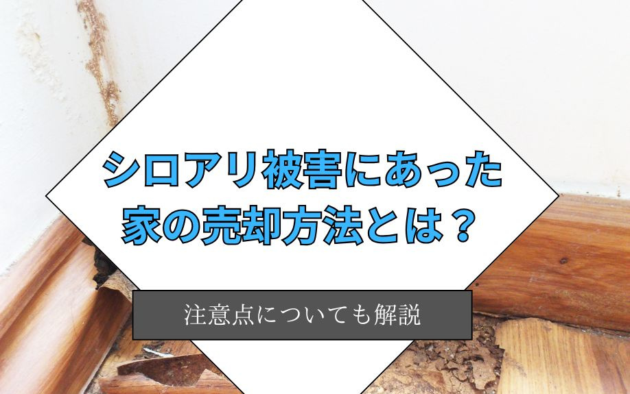 シロアリ被害にあった家の売却方法とは？注意点についても解説の画像