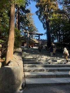 お伊勢さんへGO!!の画像