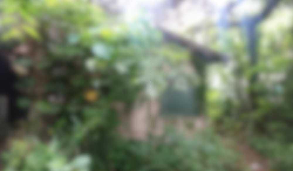 遠方にお住いの共有不動産の画像