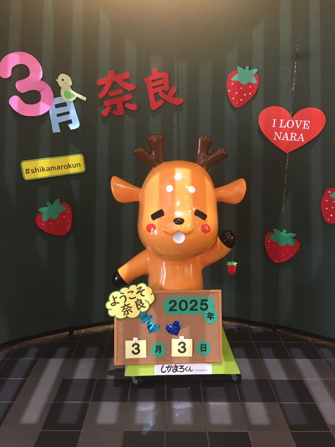 奈良遠征の画像