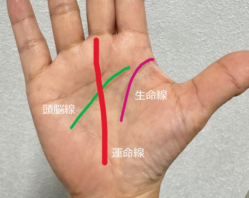 手相占いの画像
