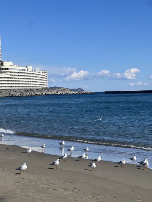 旅行♪の画像
