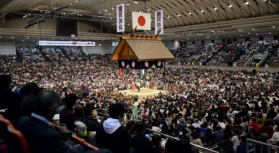 大相撲　3月場所！！の画像