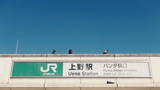 上野駅にある「国立科学博物館」の概要！日本館や地球館の見どころもご紹介
