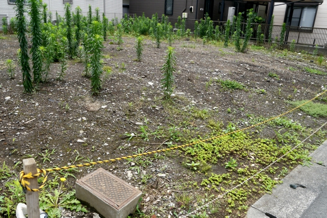 土地が売れない理由とは