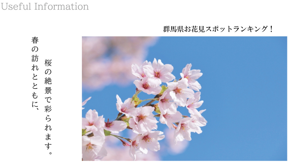 2025年最新！群馬県 お花見スポットランキング｜！の画像