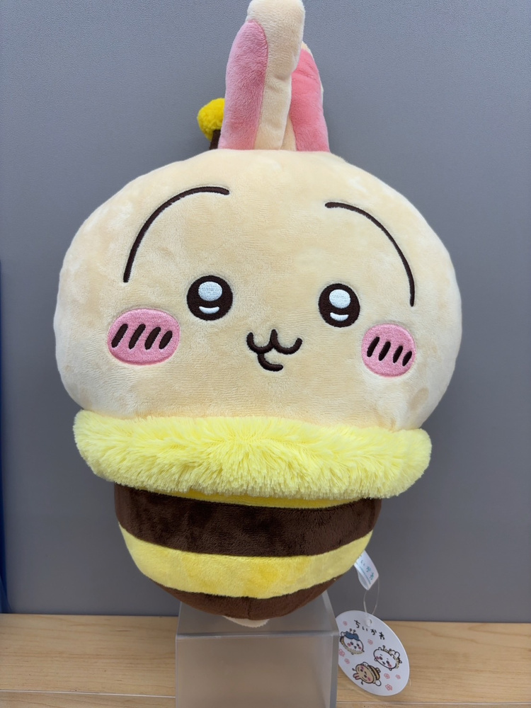 ヤハ！ヤハ！(春が近づいてきました)の画像