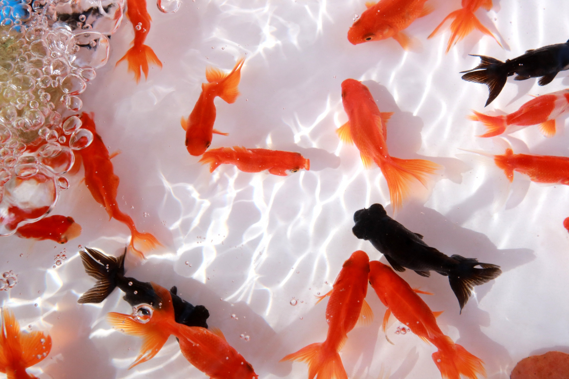 【弥富市不動産売却】弥富市で家を売る際の注意点は？売却の失敗を防ぐ方法をご紹介の画像