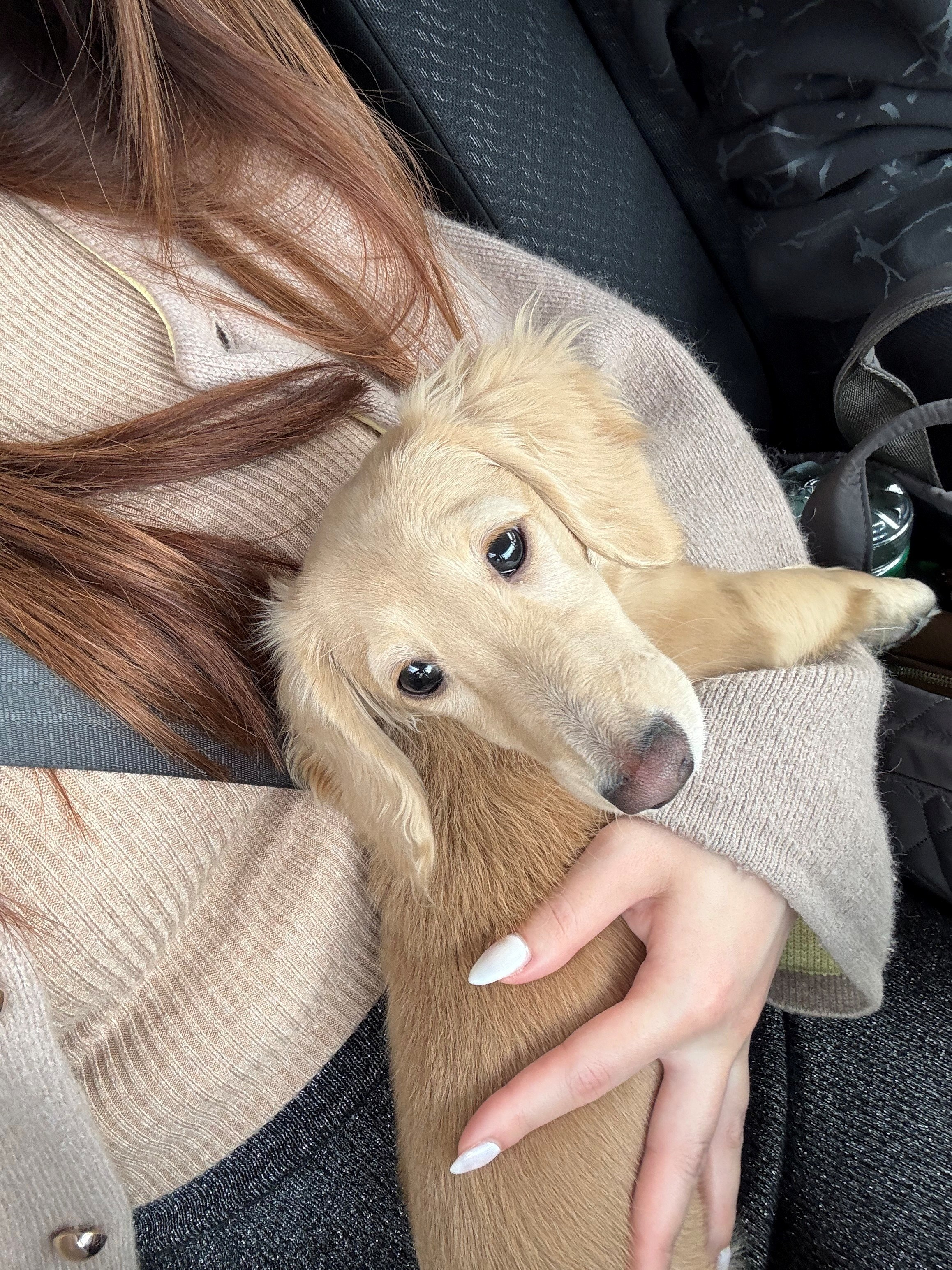 ようこそ！の画像