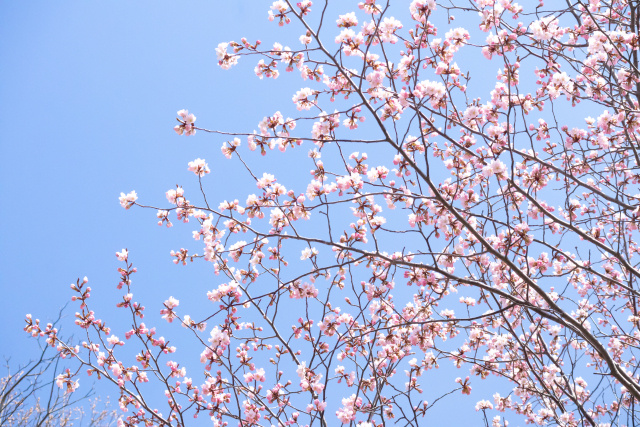 八王子　住宅ローン　転勤