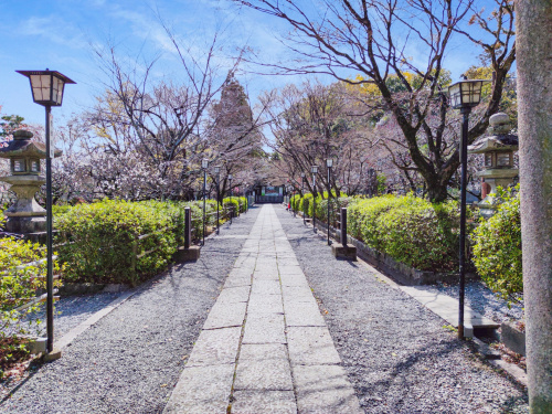 「長岡京市の歴史と名所を知る旅へ！訪れるべき場所をご紹介」の画像
