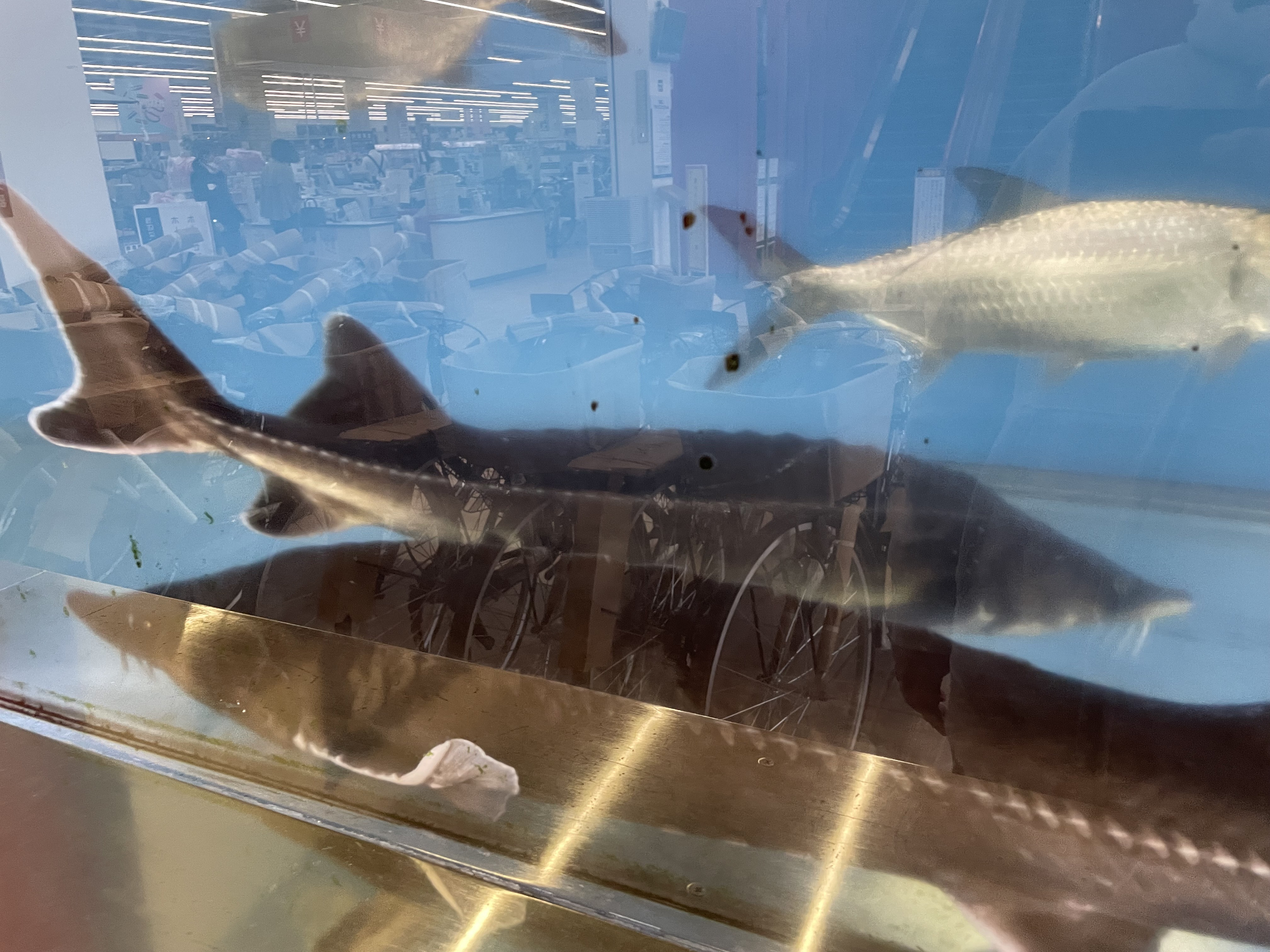 【超】大型ホームセンターの画像