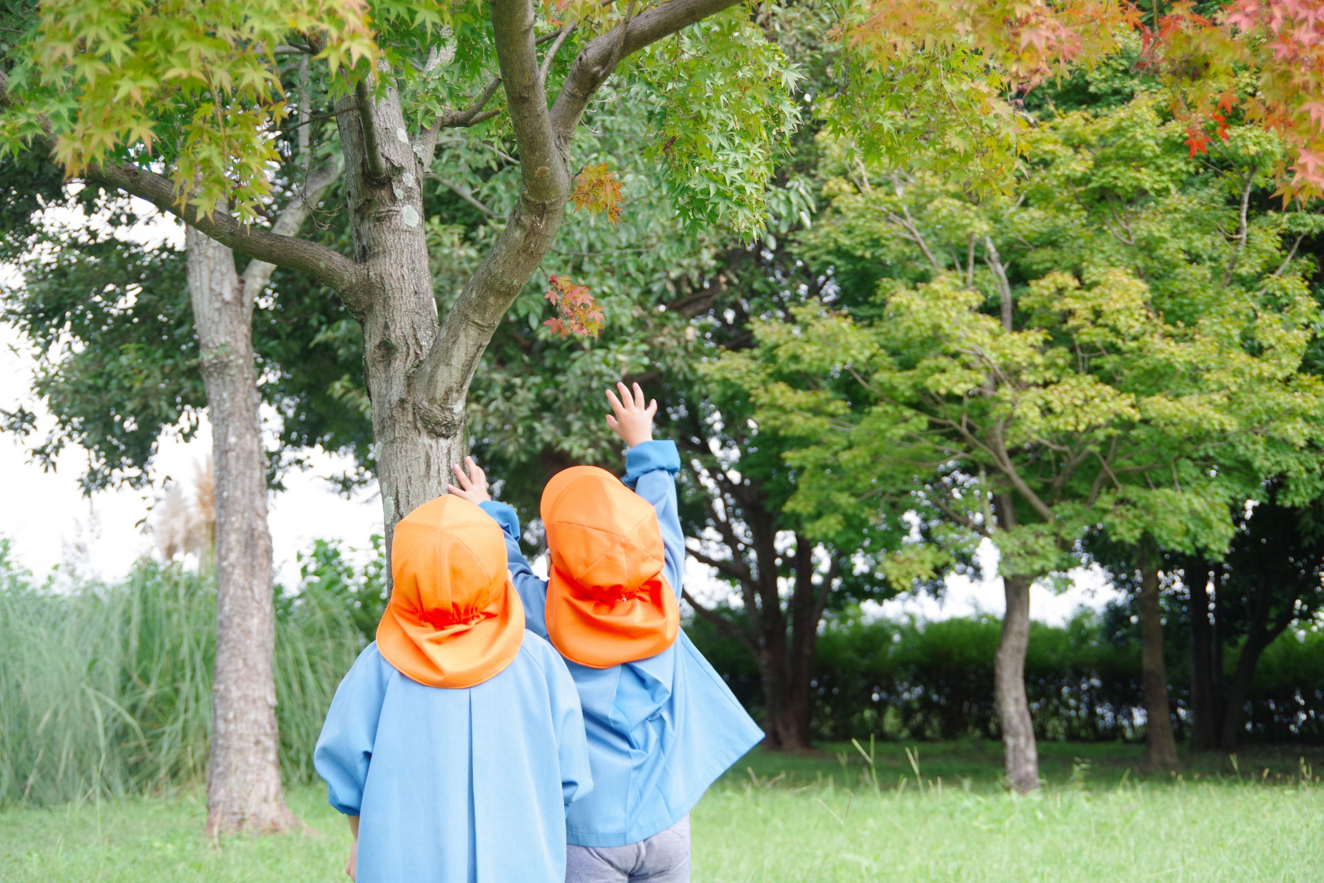 「明舞保育園」周辺の住環境について