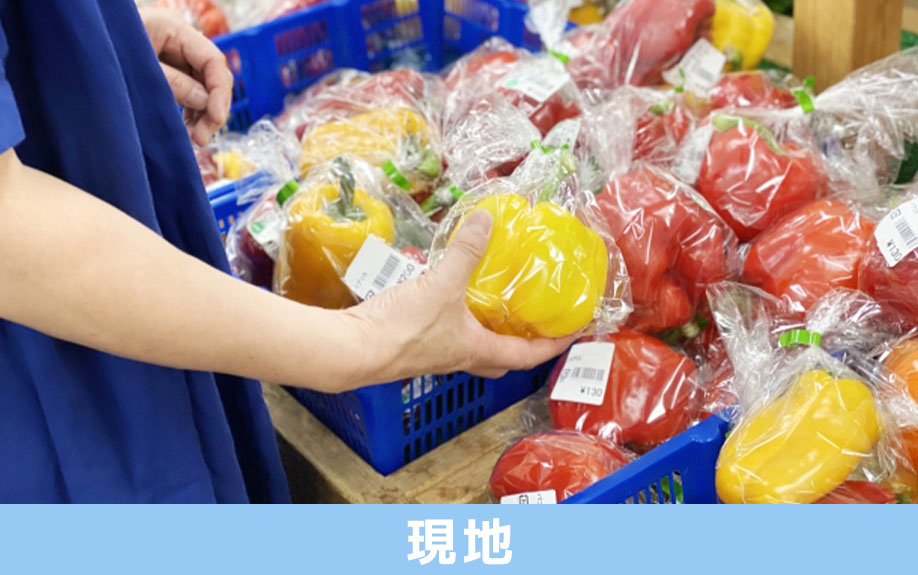 土地探しのコツ「現地」