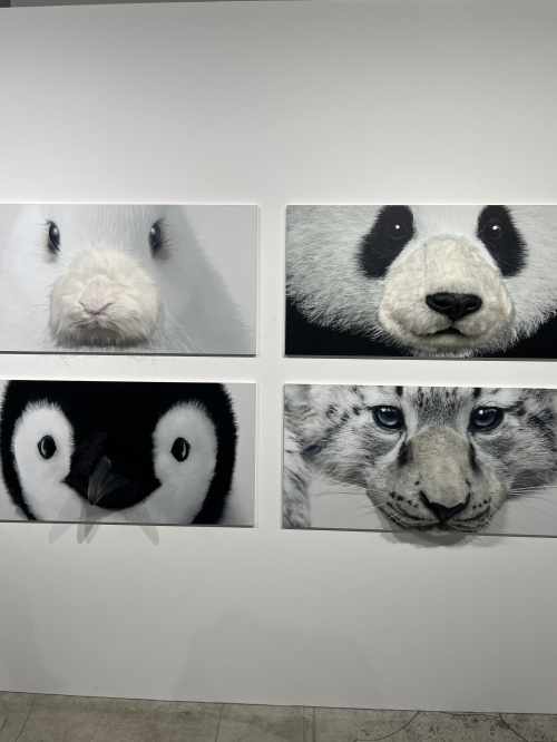 新築購入時の住宅ローン審査は大丈夫？審査ポイントをご紹介の画像