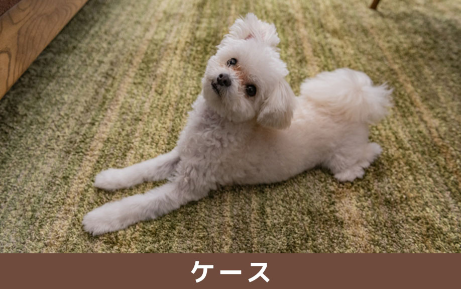 賃貸物件の更新を断られるケース