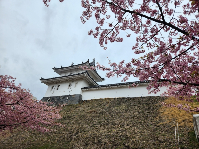 「宇都宮城址公園」の概要