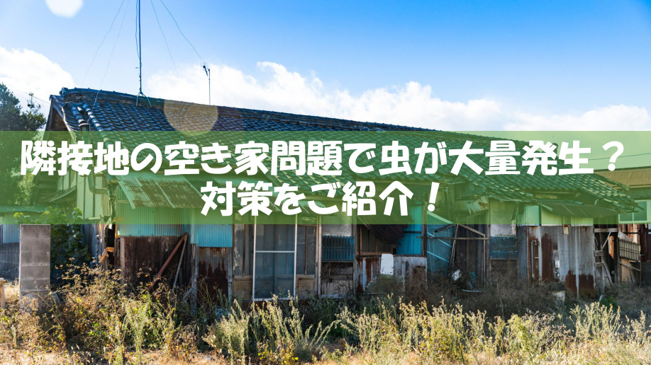 隣接地の空き家問題で虫が大量発生？対策をご紹介の画像