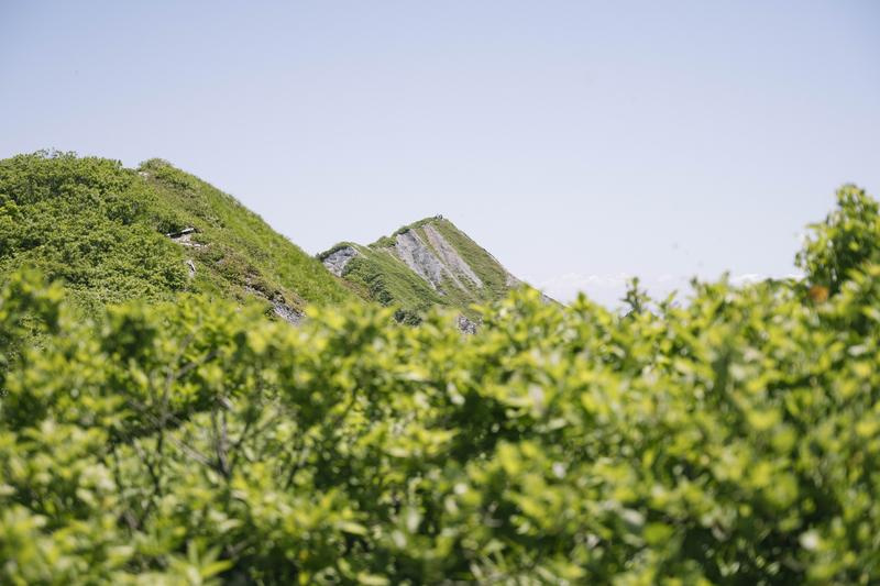 摩耶山春山開き「摩耶詣祭」に行こう！の画像