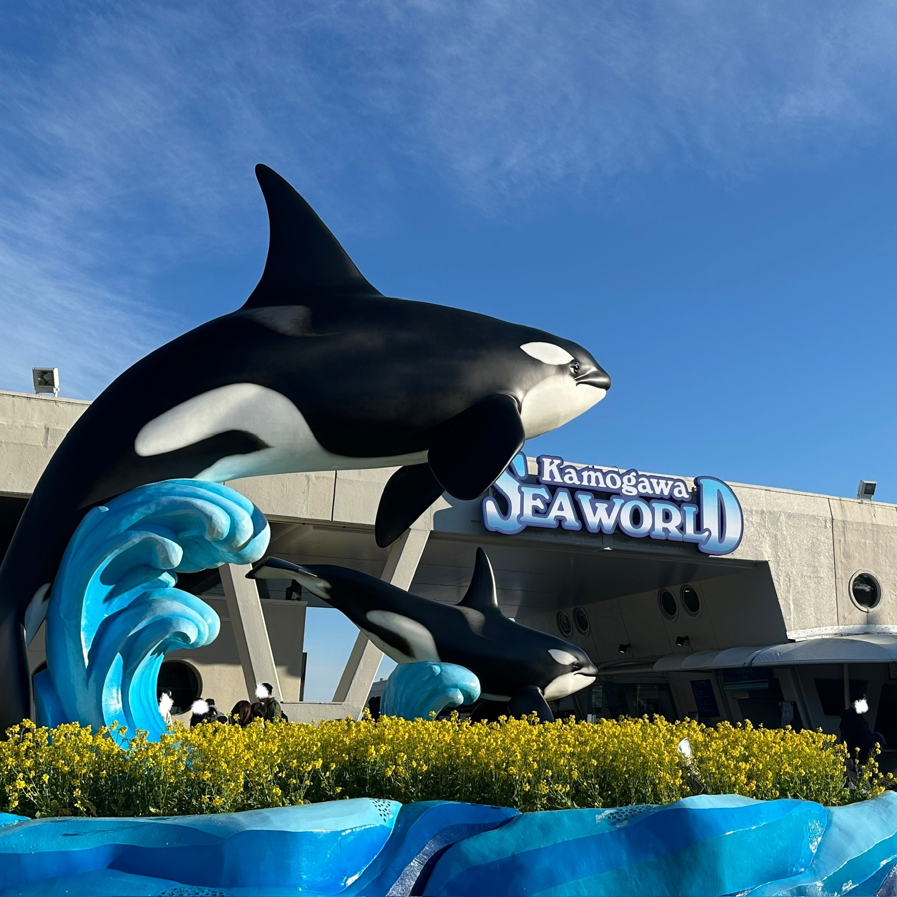 千葉プチ旅行・・・！！！の画像