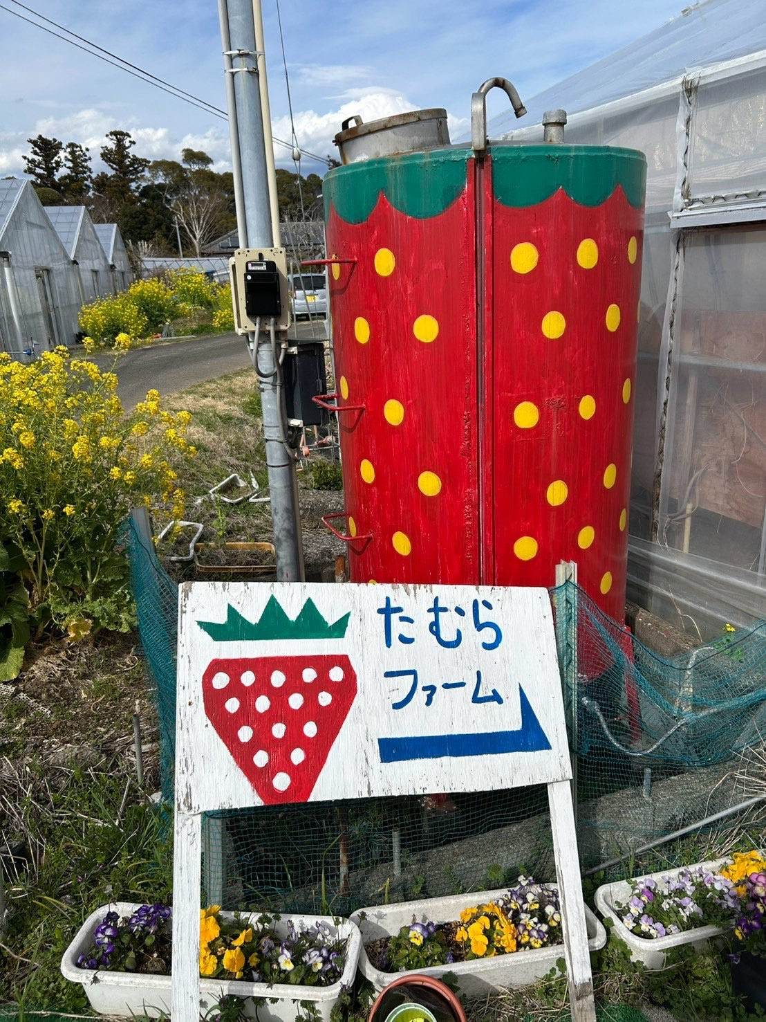 たむらファーム(いちご狩り)に行ってきました♪の画像