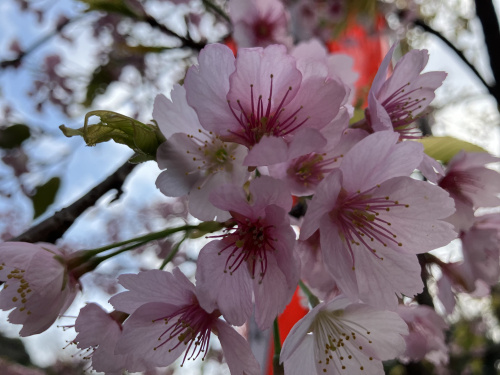 (株)メイワ・エステート