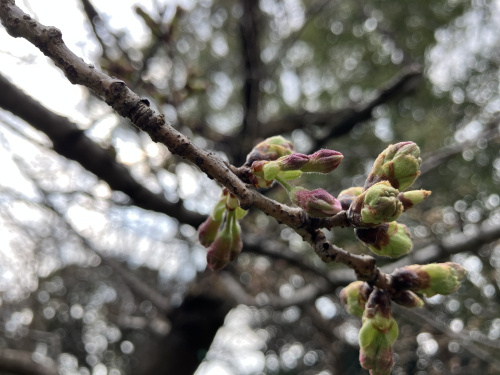 (株)メイワ・エステート