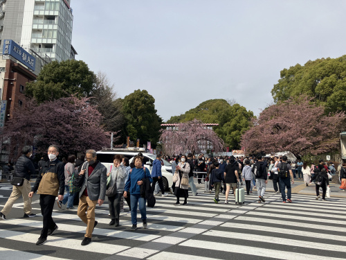 (株)メイワ・エステート