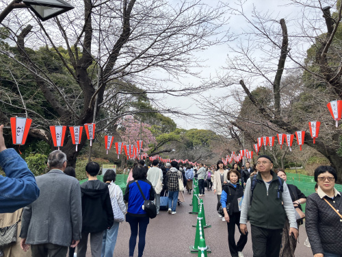 (株)メイワ・エステート