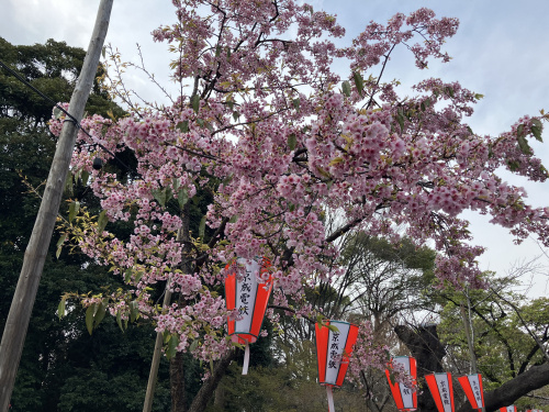 (株)メイワ・エステート