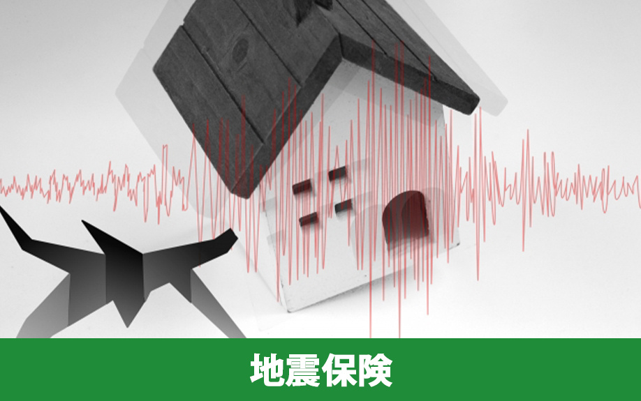 家を対象とした災害保険2．地震保険
