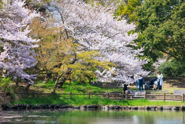 「兵庫県立明石公園」の概要