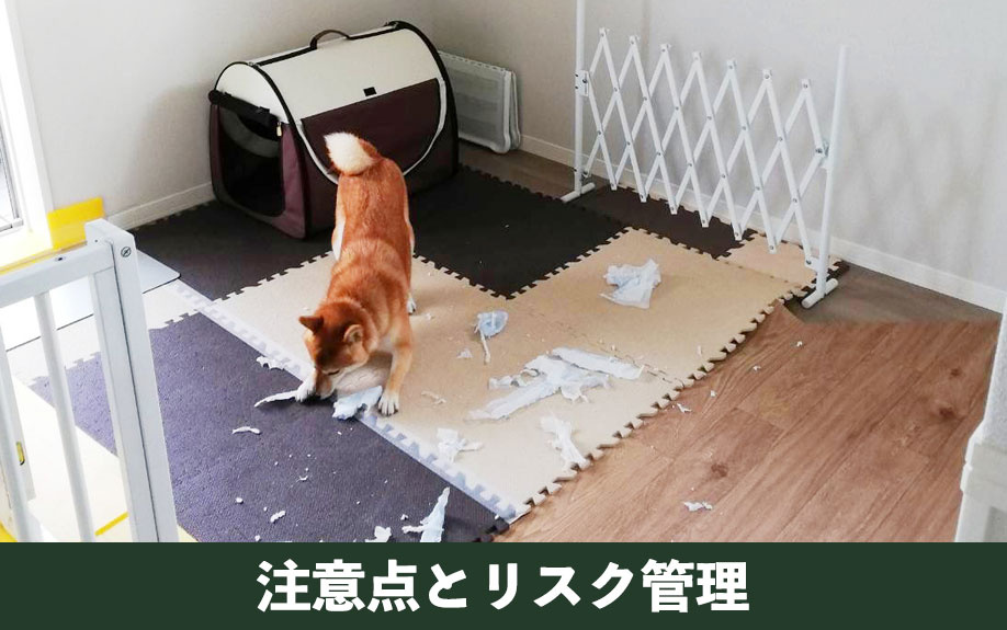 ペット可物件に投資する注意点とリスク管理