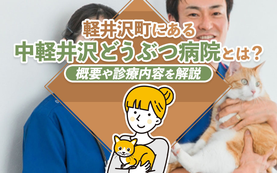 軽井沢町にある中軽井沢どうぶつ病院とは？概要や診療内容を解説の画像