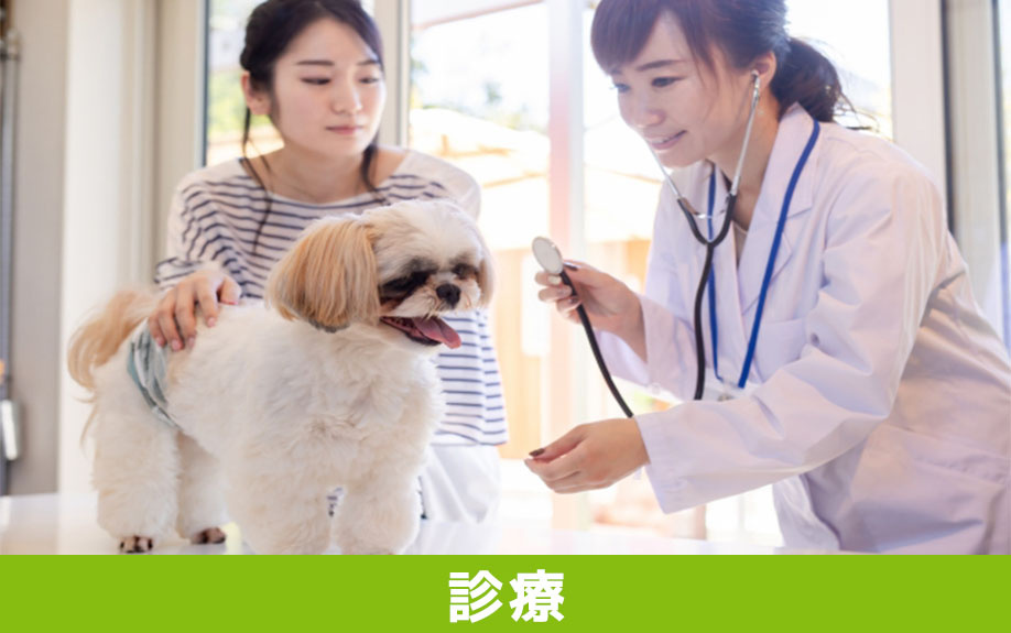 軽井沢町にある中軽井沢どうぶつ病院の診療内容