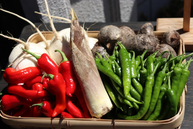 伏見区にある「じねんと市場」の概要！料理が食べられる食堂もご紹介 