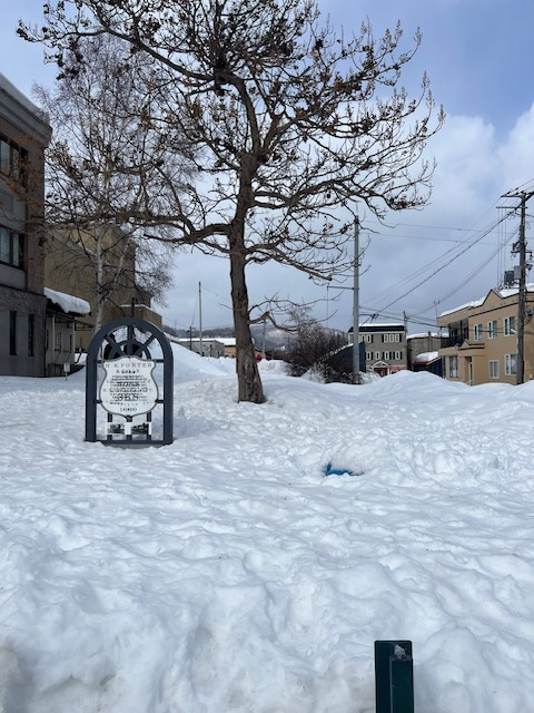 札幌出張の画像