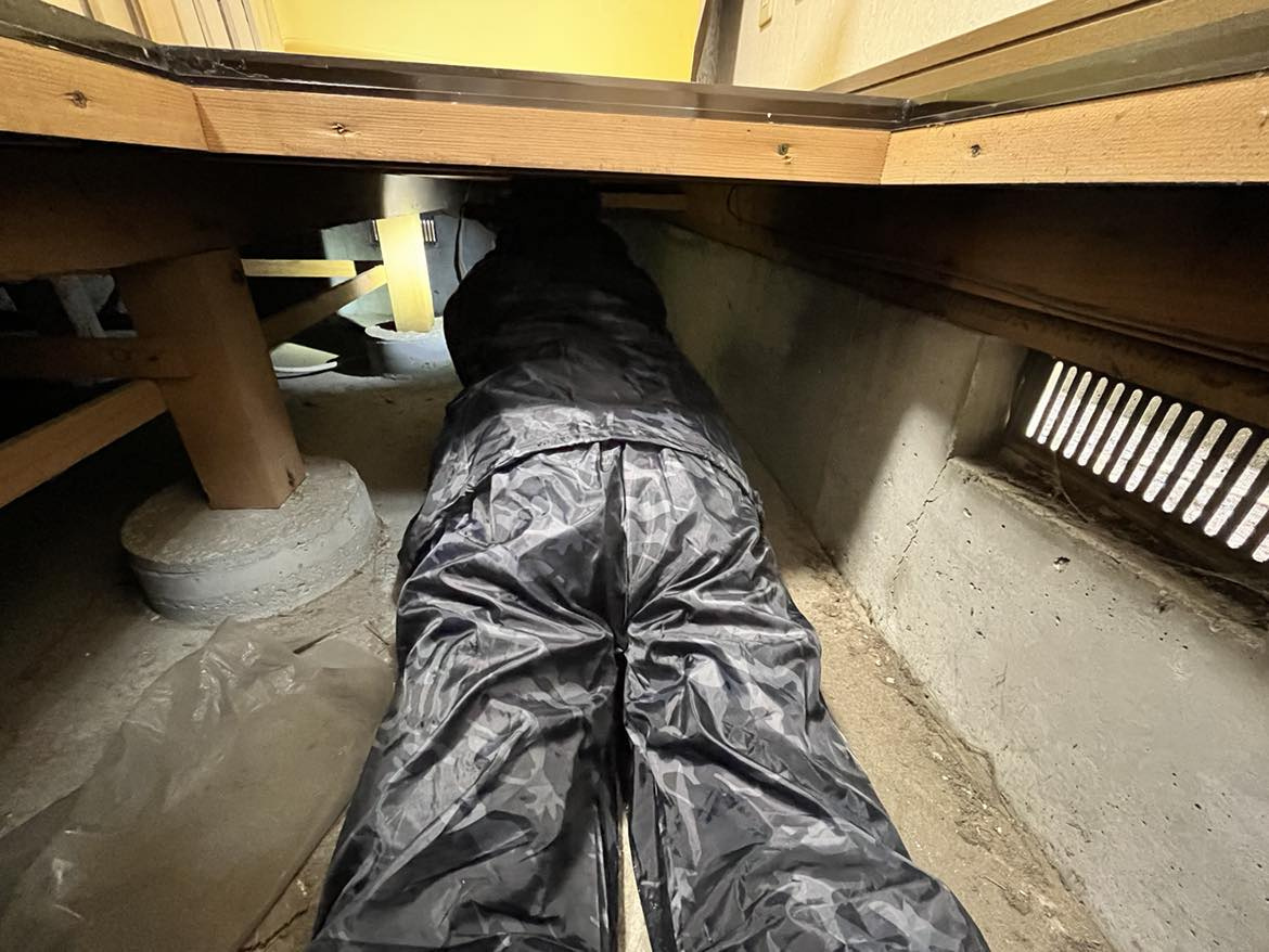 我が家を建物状況調査(インスペクション)してみましたの画像