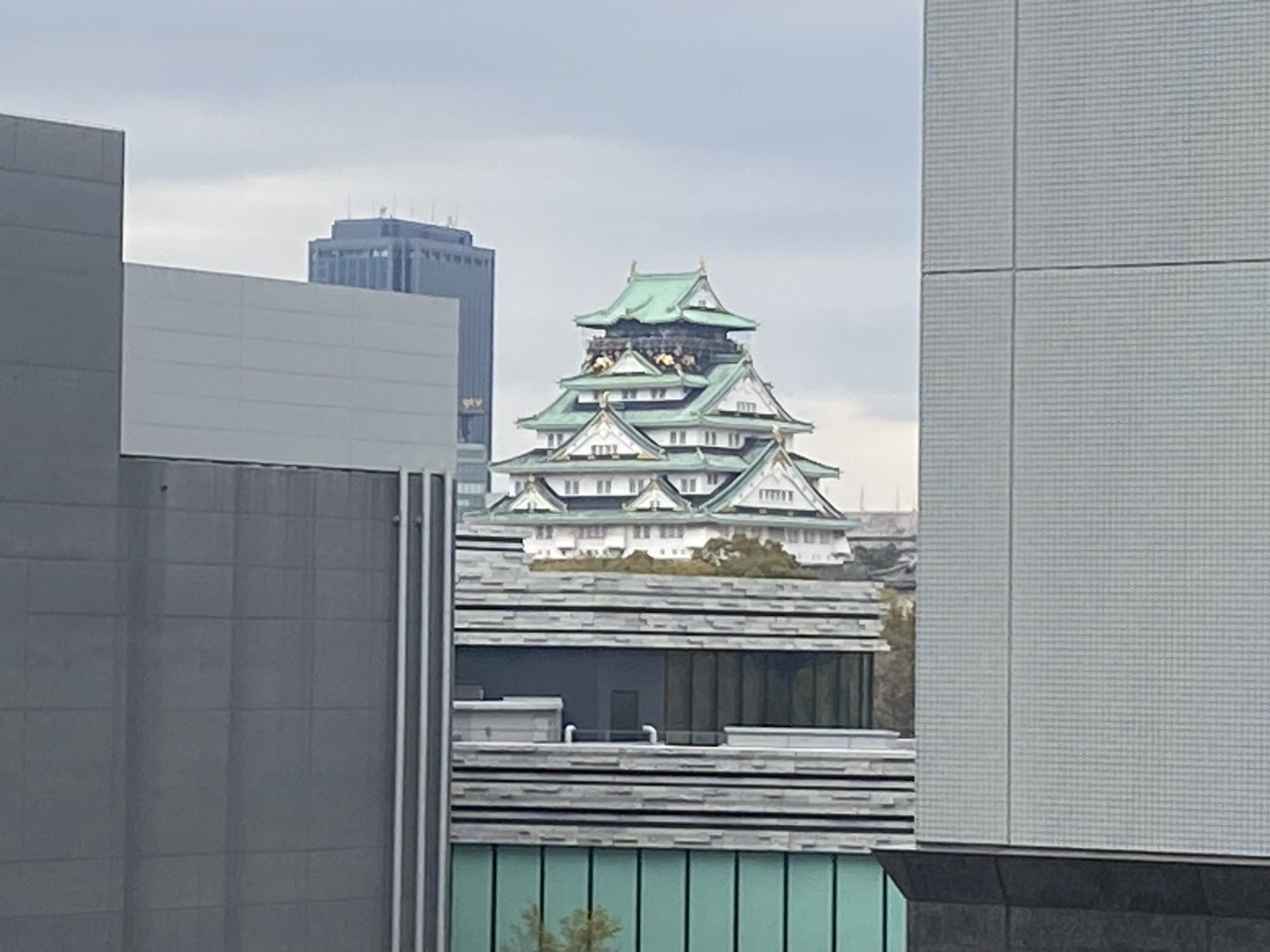 大阪城バッチリですの画像