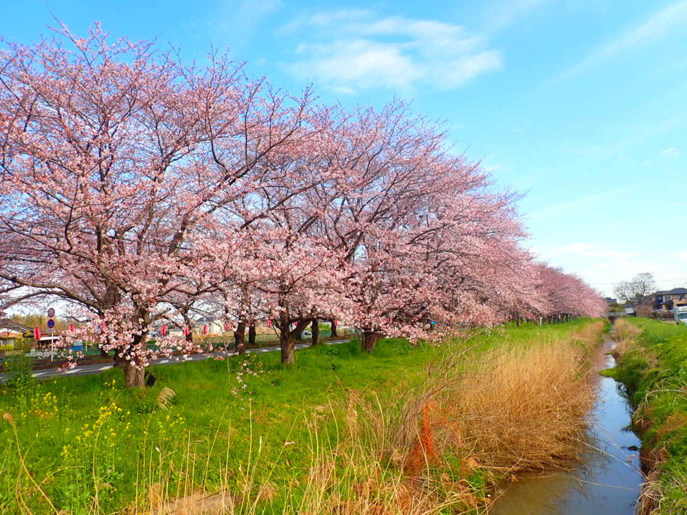 4月スタート！の画像