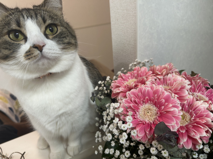 女子旅 in 熱海♪の画像