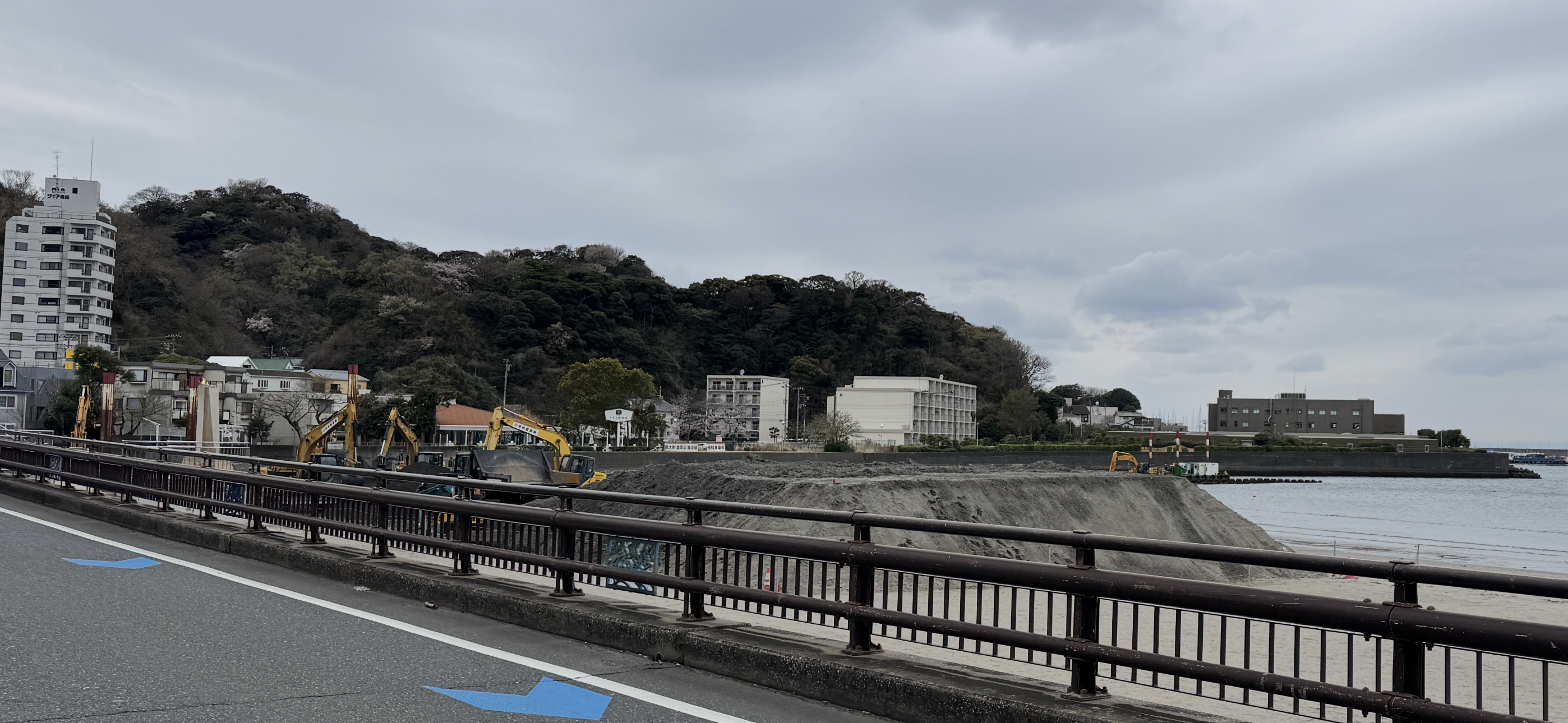 本日の逗子海岸の画像