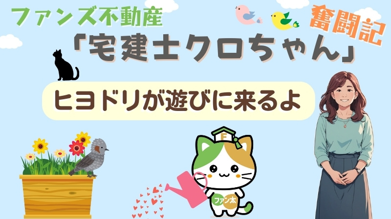 ヒヨドリが遊びに来るよ｜ファンズ不動産「宅建士クロちゃんの奮闘記」の画像