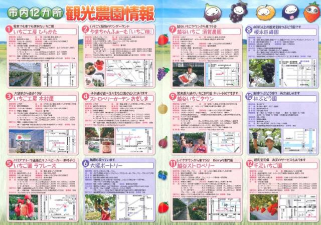 越谷市のイベント情報☆こしがや観光農園情報☆の画像